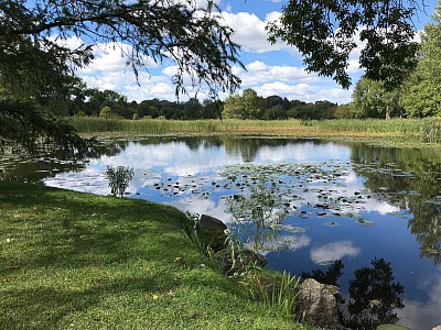 The lake
