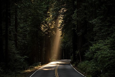 The drive